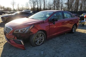 5NPE24AF4HH494257 | 2017 HYUNDAI SONATA SE