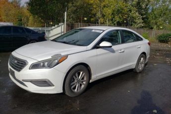 5NPE24AF4HH532599 | 2017 HYUNDAI SONATA SE