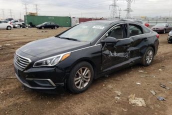 5NPE24AF5GH341434 | 2016 HYUNDAI SONATA SE