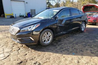 5NPE24AF5HH549623 | 2017 HYUNDAI SONATA SE