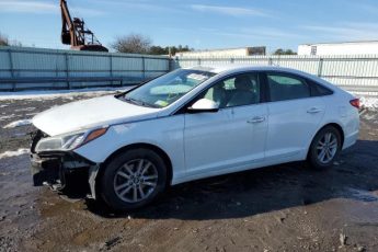 5NPE24AF6GH311438 | 2016 HYUNDAI SONATA SE