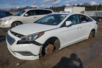 5NPE24AF6GH319765 | 2016 HYUNDAI SONATA SE