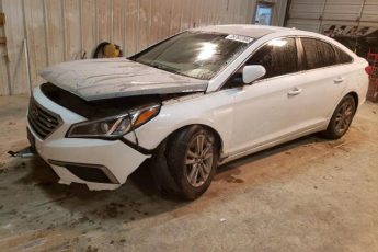 5NPE24AF6HH455427 | 2017 HYUNDAI SONATA SE