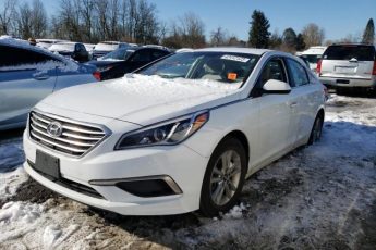 5NPE24AF6HH525928 | 2017 HYUNDAI SONATA SE