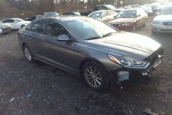 5NPE24AF6KH787164 | 2019 HYUNDAI SONATA