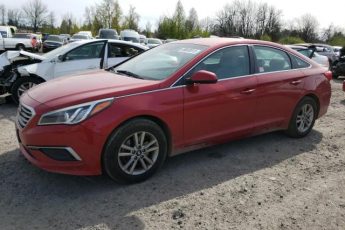 5NPE24AF8HH448883 | 2017 HYUNDAI SONATA SE