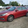 1FADP3F26GL296583 | 2016 FORD FOCUS SE