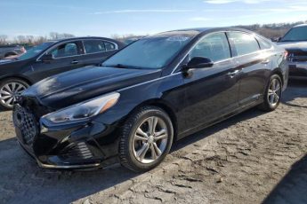 5NPE34AF1KH763481 | 2019 HYUNDAI SONATA LIM