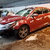 1G4PR5SK4F4195467 | 2015 BUICK VERANO CON