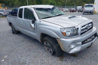 5TEUU42N96Z261433 | 2006 TOYOTA TACOMA