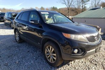 5XYKTDA26BG065570 | 2014 KIA SORENTO