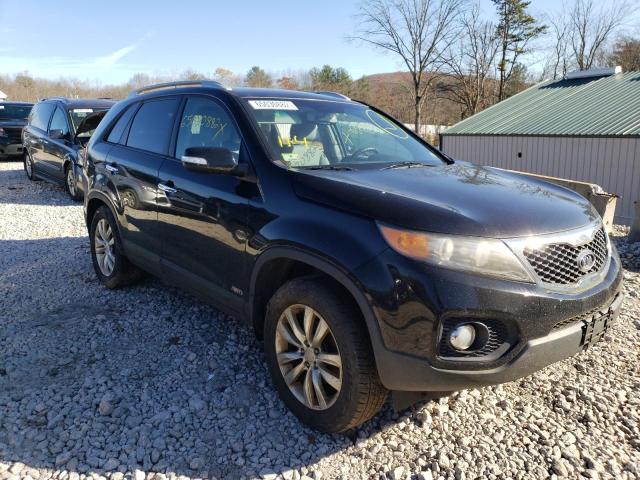 5XYKTDA26BG065570 | 2014 KIA SORENTO