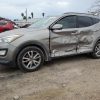 7SAYGAEE8PF801590 | 2023 TESLA MODEL Y