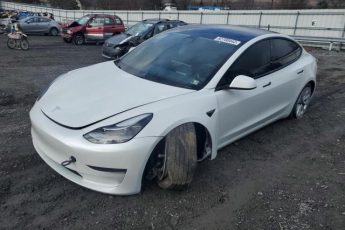 5YJ3E1EA5MF047165 | 2021 TESLA MODEL 3