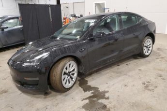 5YJ3E1EA8PF450254 | 2023 TESLA MODEL 3