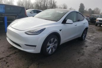 5YJYGDEE5MF094264 | 2021 TESLA MODEL Y