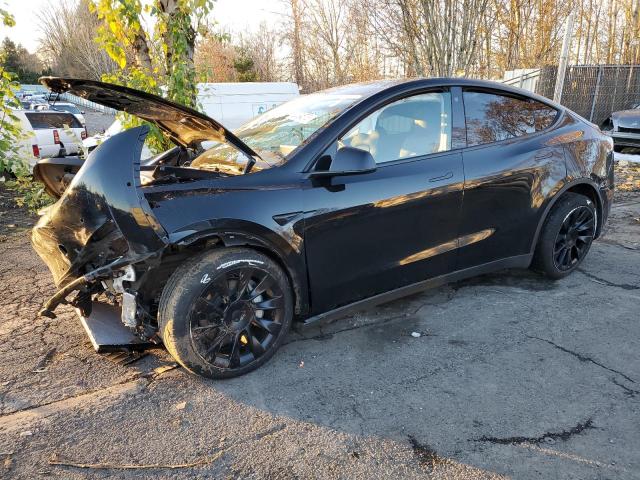 5YJYGDEE5MF097231 | 2021 TESLA MODEL Y