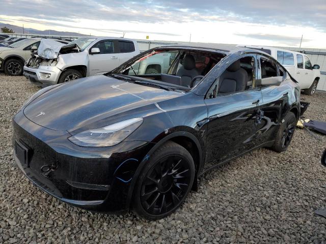 7SAYGAEE6NF531885 | 2022 TESLA MODEL Y