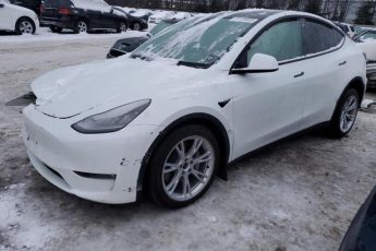 7SAYGAEE8NF514568 | 2022 TESLA MODEL Y