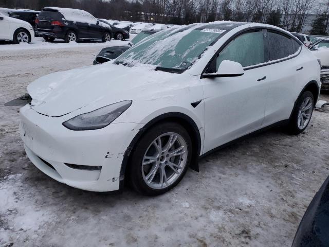 7SAYGAEE8NF514568 | 2022 TESLA MODEL Y