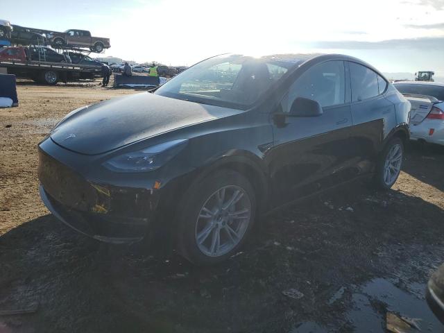 7SAYGDEE0PF707639 | 2023 TESLA MODEL Y