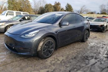 7SAYGDEE4NF461353 | 2022 TESLA MODEL Y