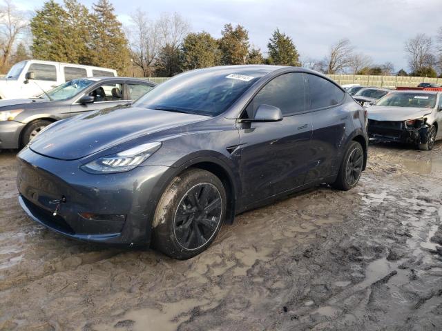 7SAYGDEE4NF461353 | 2022 TESLA MODEL Y