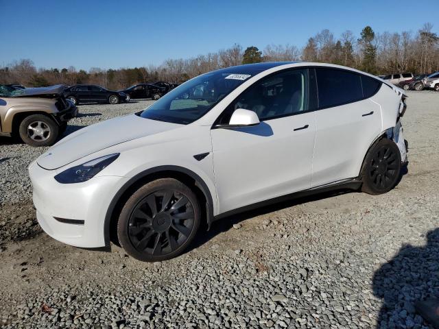 7SAYGDEE4PF675973 | 2023 TESLA MODEL Y