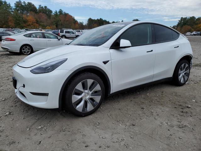 7SAYGDEE4PF837455 | 2023 TESLA MODEL Y