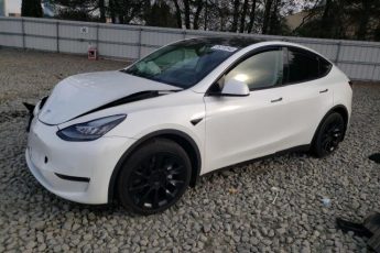 7SAYGDEE6NF373937 | 2022 TESLA MODEL Y