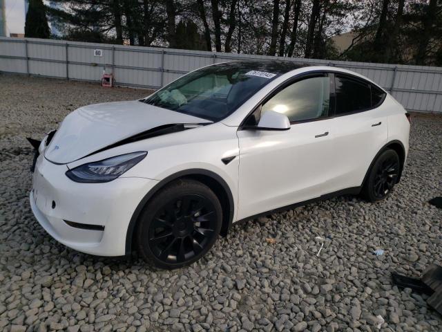 7SAYGDEE6NF373937 | 2022 TESLA MODEL Y