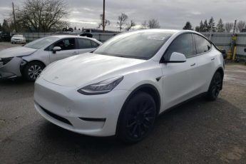 7SAYGDEE7PF591632 | 2023 TESLA MODEL Y