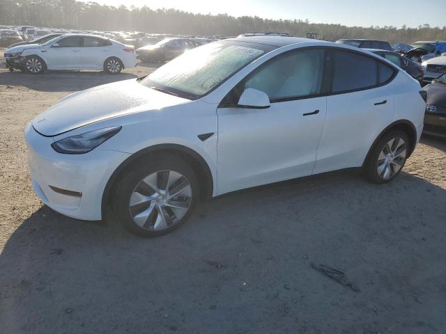 7SAYGDEE9PA093669 | 2023 TESLA MODEL Y