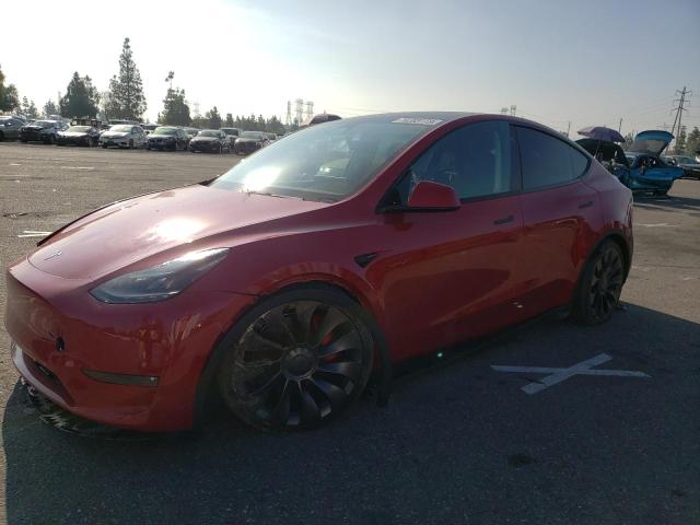 7SAYGDEF0PF786352 | 2023 TESLA MODEL Y