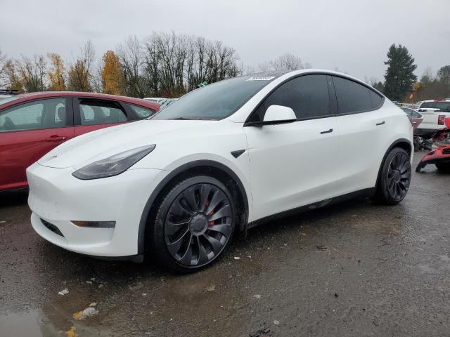 7SAYGDEF4NF463984 | 2022 TESLA MODEL Y