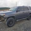 1N6AD07W98C436131 | 2008 NISSAN FRONTIER