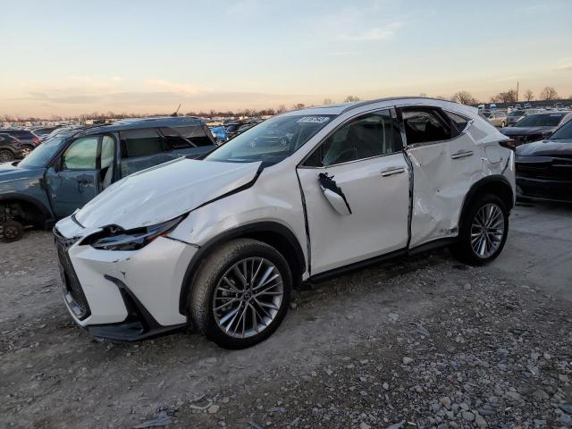 JTJGGCEZ0N5000641 | 2022 LEXUS NX 350