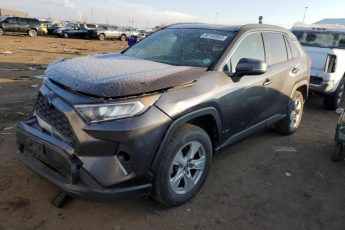 JTMP1RFV9LD530337 | 2020 TOYOTA RAV4 XLE