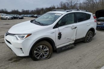 JTMRJREV3GD018699 | 2016 TOYOTA RAV4 HV XL