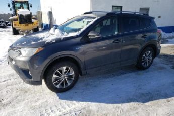 JTMRJREV8HD063087 | 2017 TOYOTA RAV4 HV LE