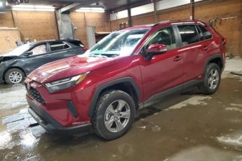 JTMRWRFV3PD199464 | 2023 TOYOTA RAV4 XLE