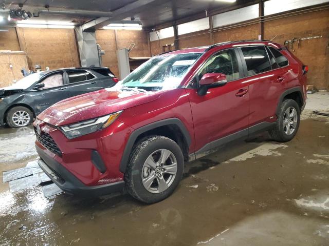 JTMRWRFV3PD199464 | 2023 TOYOTA RAV4 XLE