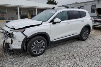 KM8S5DA16MU009630 | 2021 HYUNDAI SANTA FE L