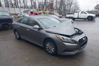 KMHE24L18HA055700 | 2017 HYUNDAI SONATA HYBRID