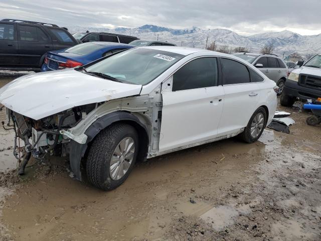 KMHE24L1XHA058310 | 2017 HYUNDAI SONATA HYB