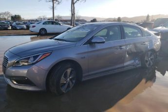 KMHE34L13GA029811 | 2016 HYUNDAI SONATA HYB