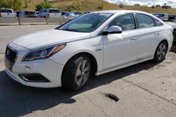 KMHE34L19GA017534 | 2016 HYUNDAI SONATA HYB