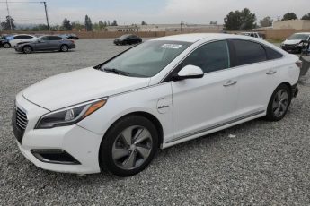 KMHE54L21HA045039 | 2017 HYUNDAI SONATA PLU