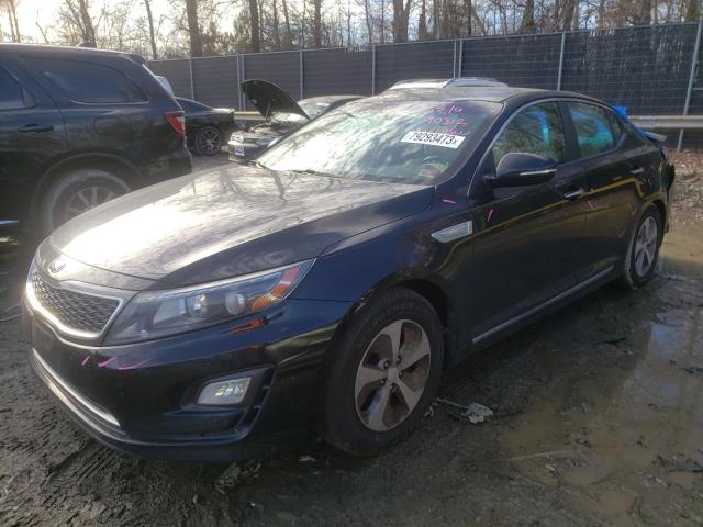 KNAGM4AD8E5073720 | 2014 KIA OPTIMA HYB