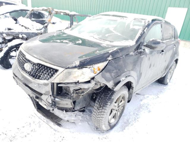 KNDPB3ACXF7694649 | 2015 KIA SPORTAGE L